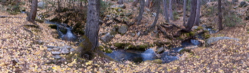 Panorama of Upper Metz Creek, Evergreen, UNITED STATES, The Big Bend of Metz Creek, Metz Creek dressed in autumn style.,  