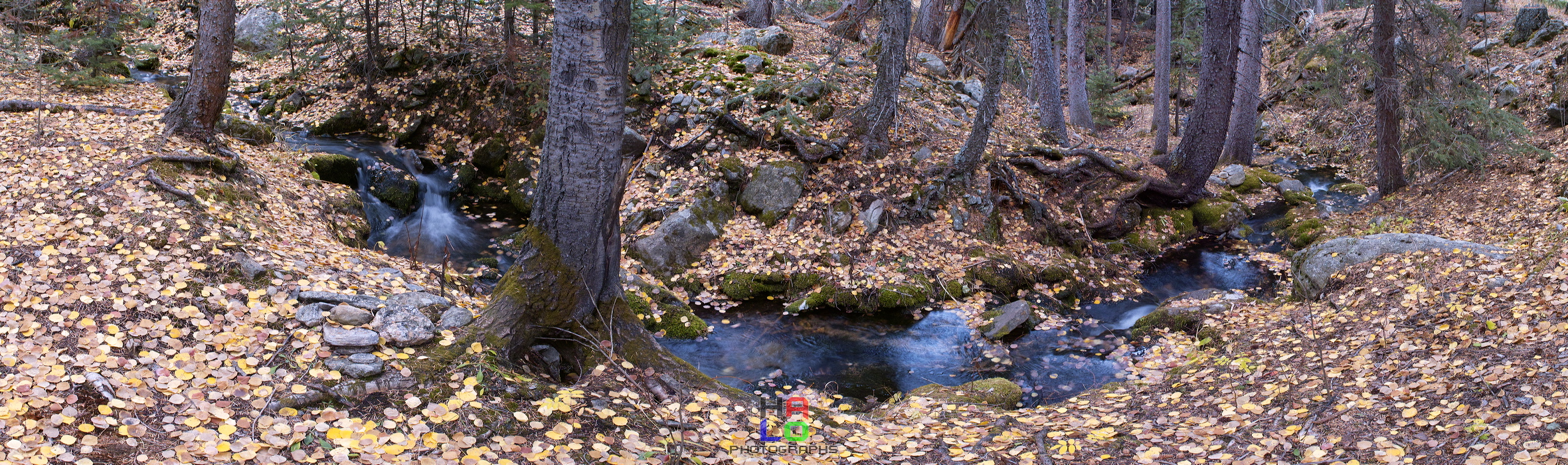 Autumn Impressions, Woods Haven Preserve, Upper Metz Creek, Evergreen, Colorado, UNITED STATES, 97624-97628-a.jpg