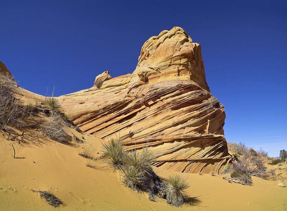  , Cottonwood Cove, Coyote Buttes South, Vermilion Cliffs Wilderness Area, Arizona, United States, img00658-00662.jpg