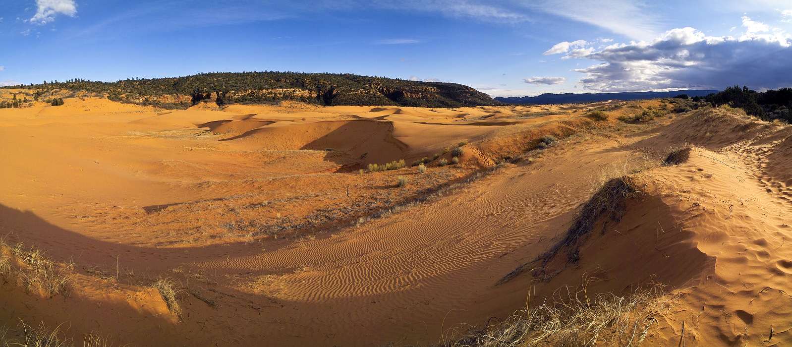  , US-West Spring 2007, Coral Pink Sanddunes, Utah, United States, img04621-04626.jpg