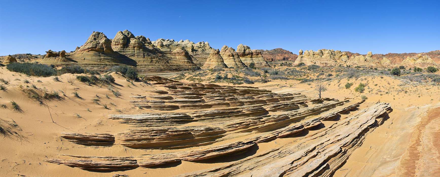  , US-West Spring 2007, Coyote Buttes South, Vermilion Cliffs Wilderness Area, Arizona, United States, img06966-06972.jpg