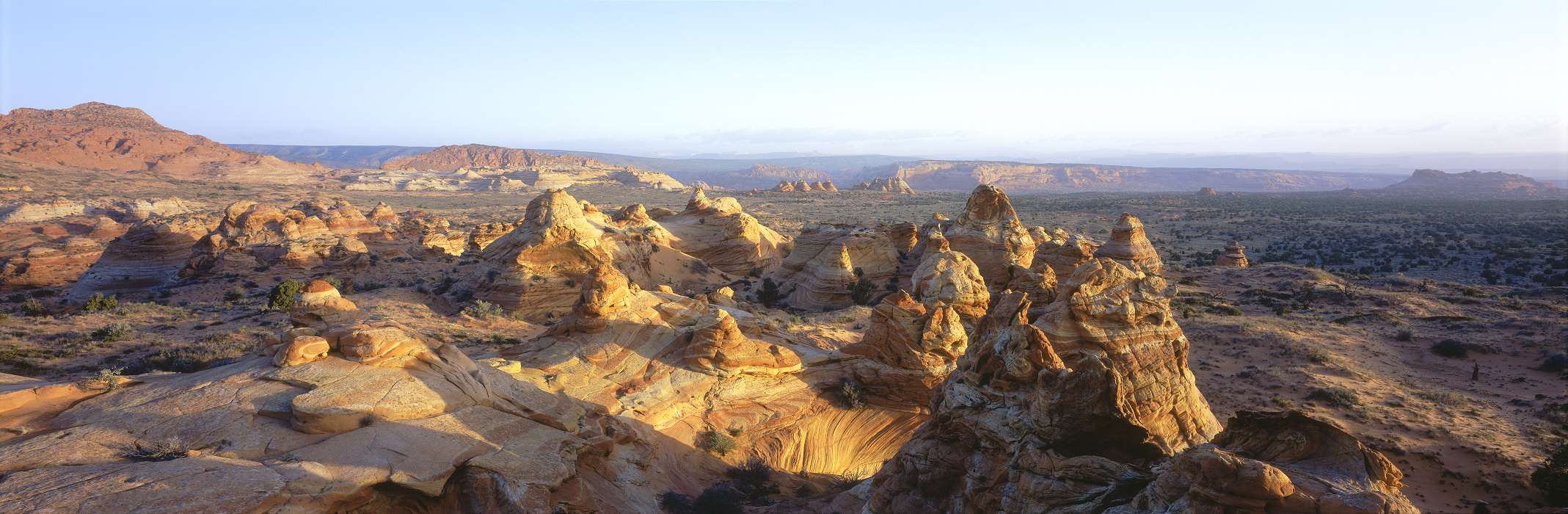  , Coyote Buttes North, Paria Canyon Vermilion Cliffs Wilderness Area, Fredonia, Arizona, United States, ut-cottonwood-cove-p07.jpg