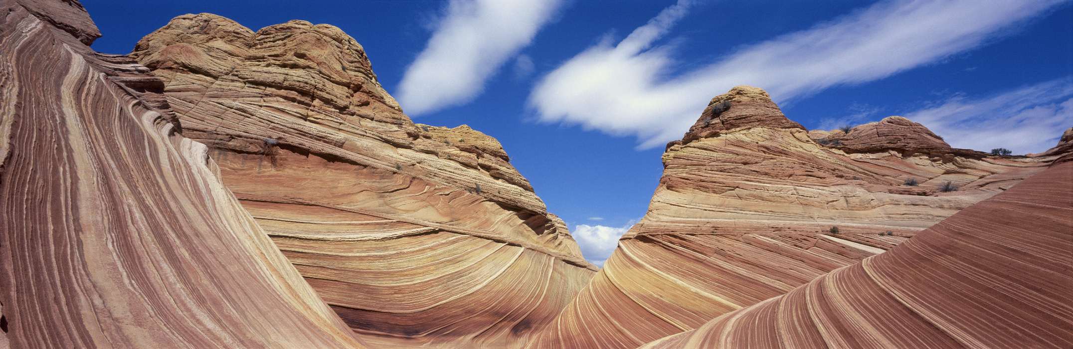  , Coyote Buttes North, Paria Canyon Vermilion Cliffs Wilderness Area, Fredonia, Arizona, United States, ut-coyote-buttes-the-wave-20x30.jpg