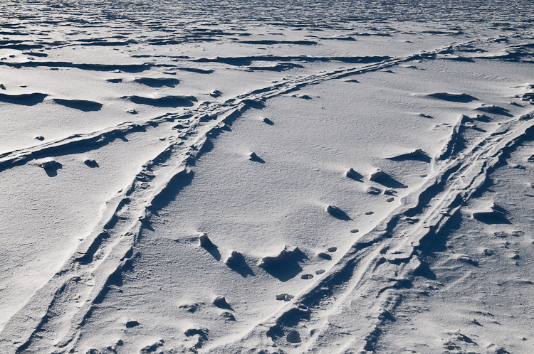 Snowdrift Formations, Wind sculpted snow fields. Abstract Formation, Engadin, Graubünden, Sils / Segl, Sils/Segl Baselgia, Snow, Switzerland, Waves of Ice, Winter