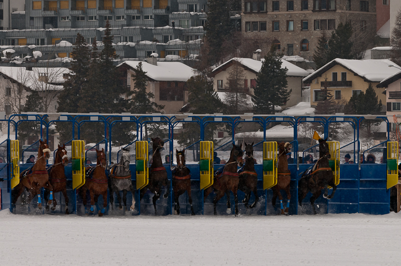 Credit Suisse Skijöring Trophy 2012,  Graubünden, Horse Race, Snow, Sport, St. Moritz, Switzerland, White Turf, Winter