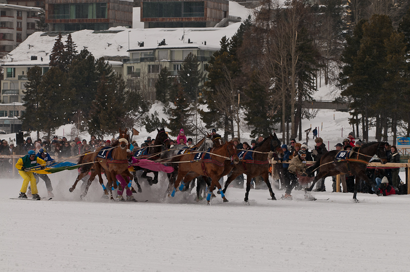 Credit Suisse Skijöring Trophy 2012,  Graubünden, Horse Race, Snow, Sport, St. Moritz, Switzerland, White Turf, Winter