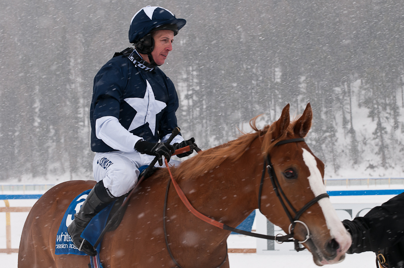 Grand Prix Gunter Sachs Memorial Race, Sieger, Winner - Pferd: Sentimento / Jockey: Miguel Lopez / Owner: John David Hillis Graubünden, Horse Race, Snow, Sport, St. Moritz, Switzerland, White Turf, Winter