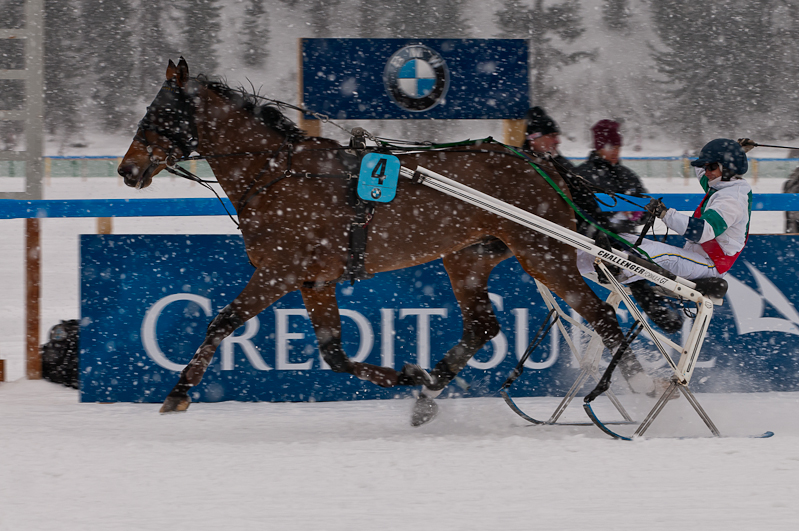 BMW Snow-Trotting Challenge 2012, Laurence Kindler mit Pferd Mask du Granit Graubünden, Horse Race, Snow, Sport, St. Moritz, Switzerland, White Turf, Winter