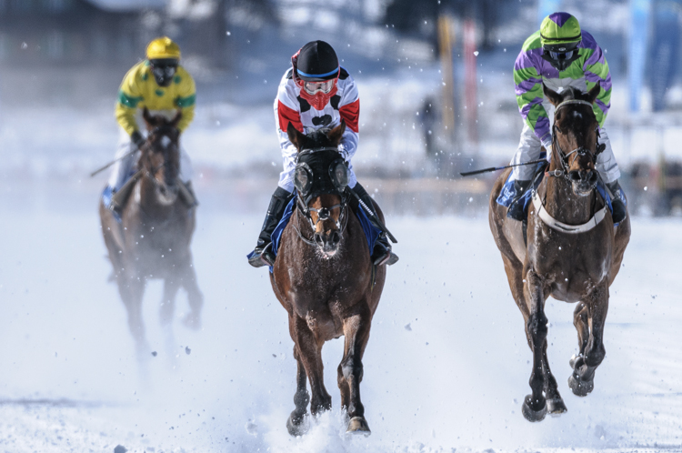 White Turf, horse racing, winter, Flat race, 1600m, GP Swiss International Air Lines, CHF15000, Flat race, 1600m, GP Swiss International Air Lines, CHF15000