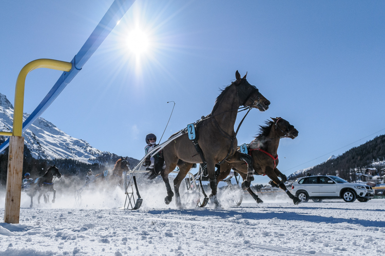 indexPageImage, Trotting race, 1700m, BMW - Grosser Traberpreis of Pontresina, C, Trotting race, 1700m, BMW - Grosser Traberpreis of Pontresina, CHF 20000