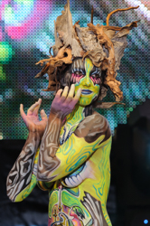 Body Art, Body Painting, Bodypainting, Brush and Sponge, Championships, Festival, Körperbemalung, Meisterschaft, Pinsel und Schwamm, Surrealism reshape your reality