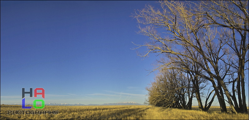 Breeding & feeding Grounds, The wetlands of the Alamosa Wildlife Refuge provide valuable, rare feeding and breeding grounds for many birds and other wildlife., Alamosa, Colorado, Wildlife, Birds, Panorama, Breeding Grounds, Feeding Grounds, 21145-21142_flat.jpg